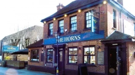 The Hairy Potters
