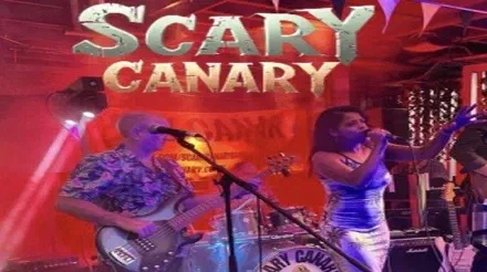 Scary Canary